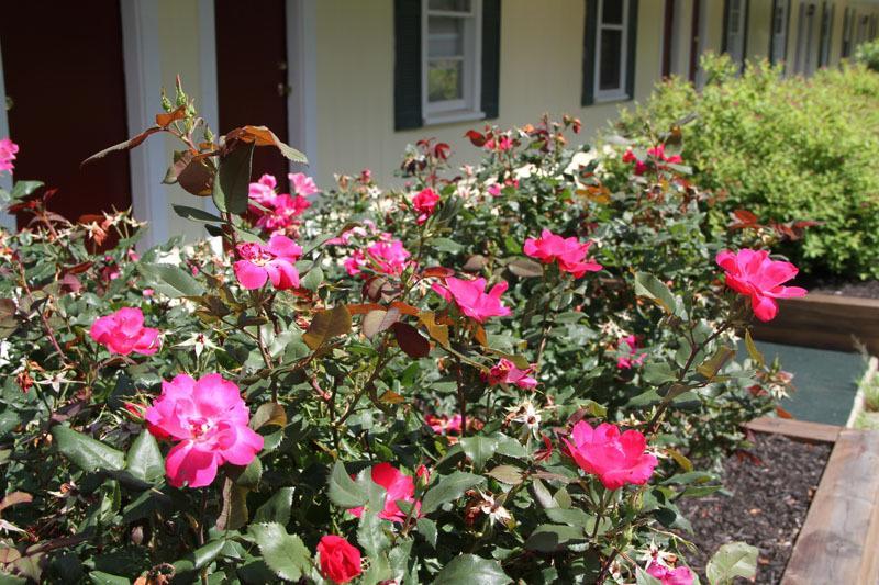 Lodge At Kennebunk Exterior foto